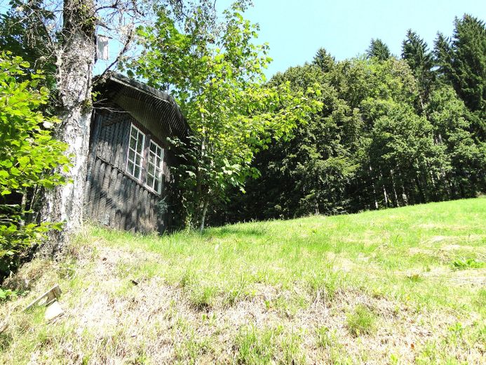 Hütte/Hühnerstall