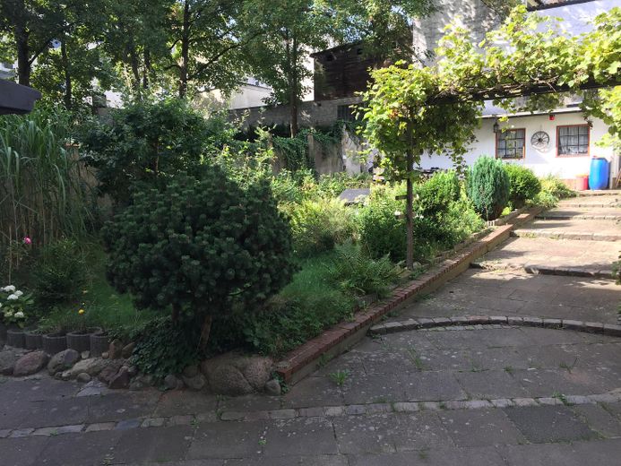 Garten - Hinterhof