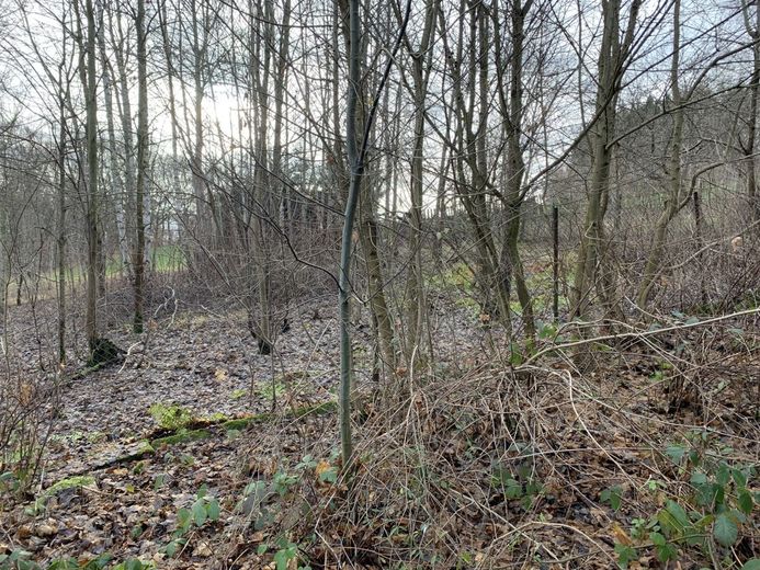 gewerbliches Grundstückspaket - 38222m² - am Bhf./Bahngleisen – 240105_Lengenfeld_GS_1263_24_25_26_048