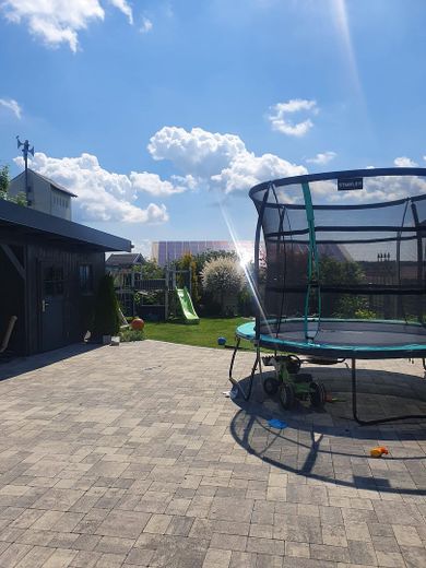Blick in den Garten