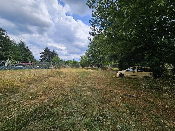 2 großzügige Wohnhäuser auf 2000m² Grundstück mitten im Pfälzer Wald – Foto 6