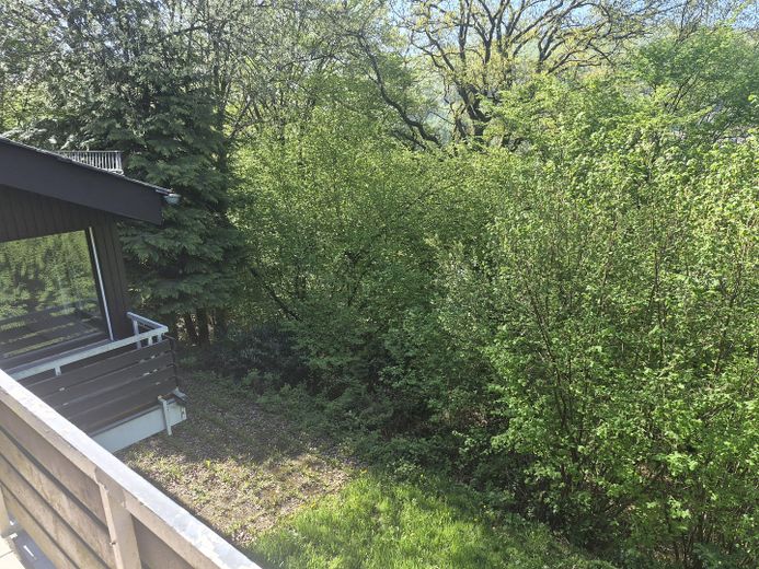 Wohnen im Wald-Panorama: Lichtdurchflutetes Architekten-Juwel in Partenstein – Blick zur Terrasse / Garten