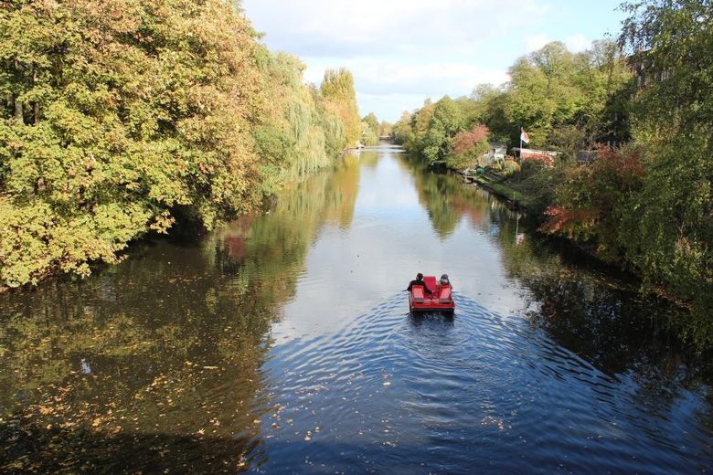 Das Wasser plätschert  vor der Tür  -  Enten, Schwäne schwimmen im Goldbekkanal - Wasserblick! – Foto 1