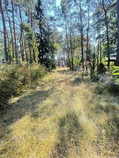 Hervorragendes Baugrundstück in ruhiger Lage – Bild 1