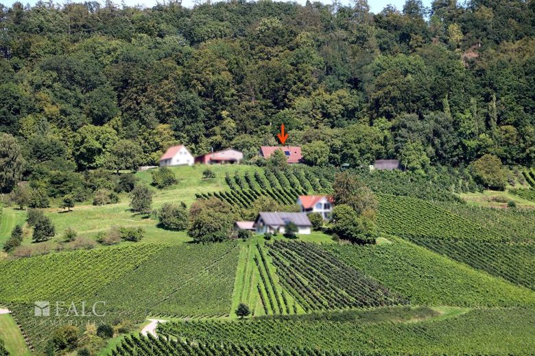 Charmantes Anwesen in einzigartiger Lage sucht Liebhaber! - FALC Immobilien Öhringen – Tolle Lage