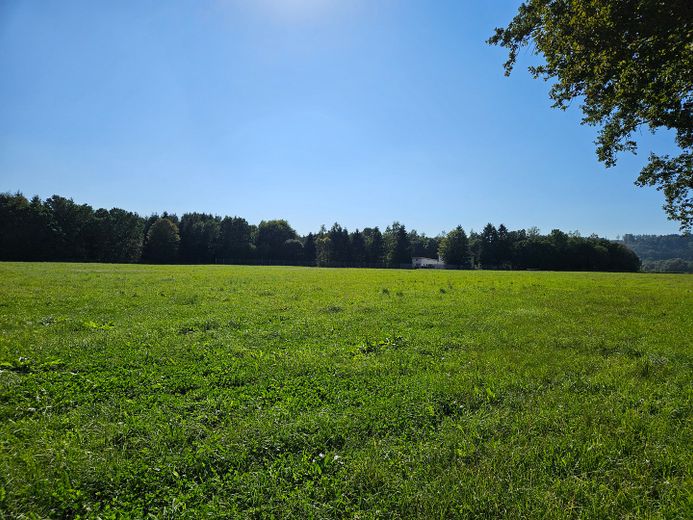 Blick aus Osten