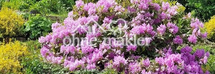 Casa a schiera a Bad Gandersheim con bel giardino e cantina DA PRIVATO!
