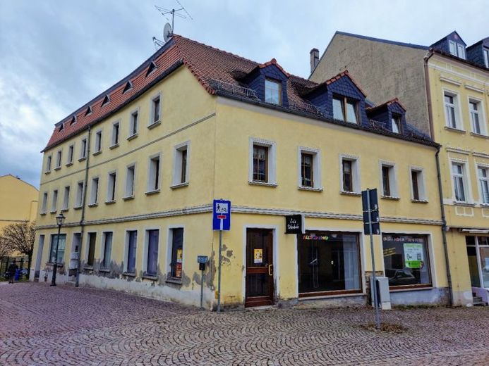 WGH-Denkmal- im Zentrum von Meerane unweit vom Marktplatz – फोटो 1
