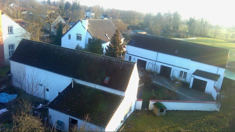 Tu sueño de tener un caballo en casa se hace realidad – Foto 3