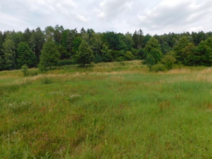 Rittersdorf-Südeifel, near Bitburg - fully serviced building plot – Foto 1