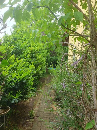 Weg in den hinteren Garten