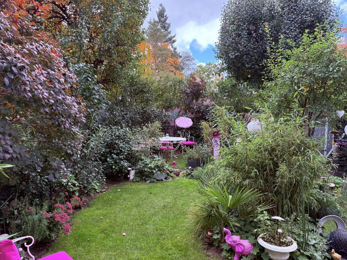 Wunderschöner Südgarten