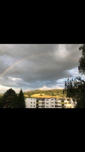Luminoso appartamento curato di 3 locali con ca. 82 m² di superficie abitabile – Foto 2