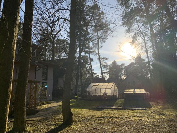 Rückseite/Gewächshaus