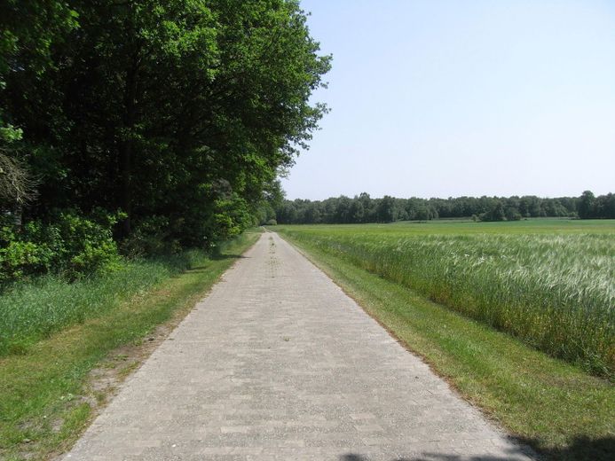 Straße vor dem Haus Ost