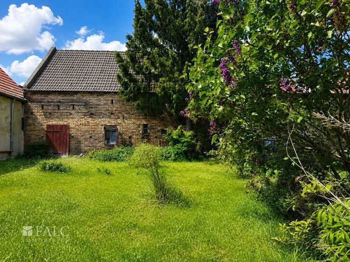 Historisches Hofensemble mit Wohnhaus, Scheune, Garten und Entwicklungspotenzial – Rückwärtiger Gartenbereich mit Blick auf die Scheune