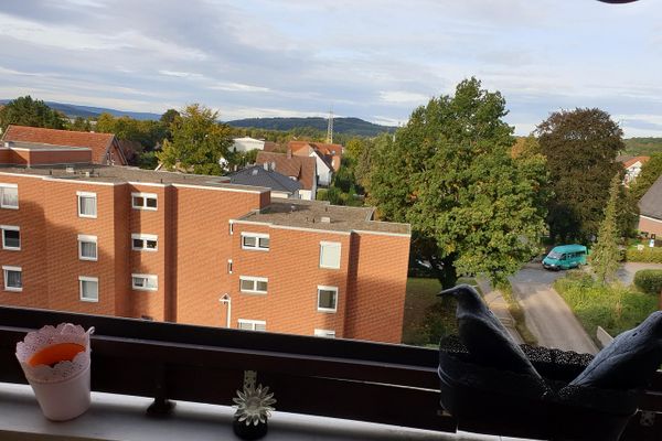 familienfreundliche 3-Zi-Whg in ruhiger, verkehrsgünstiger Lage in Empelde von Privat