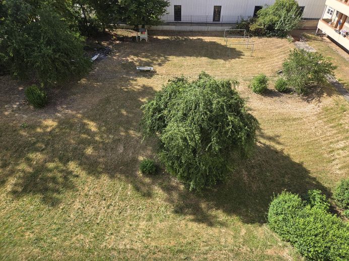 Gemeinschaftsgarten