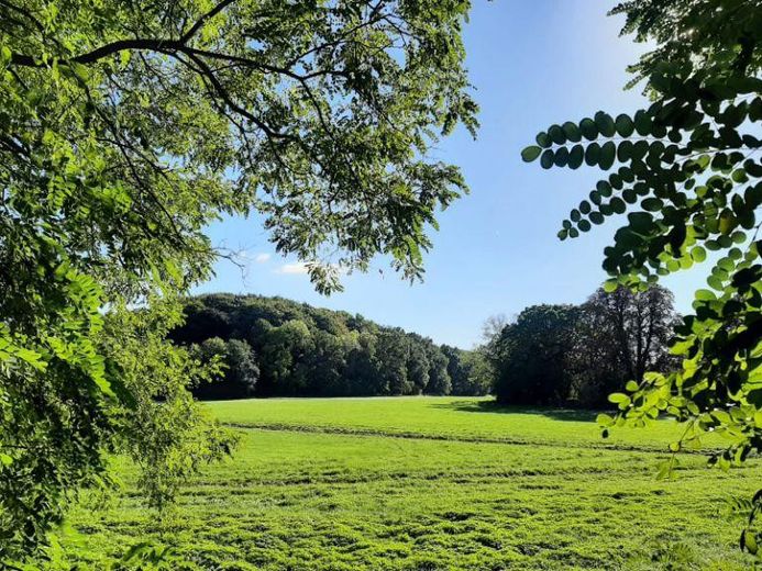 Blick vom Grundstück