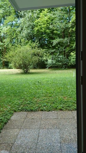Hochwertig komplettsanierte 3-Zi. Erdgeschossterrassenwohnung in München, Fürstenried, am Waldrand – Ausblick