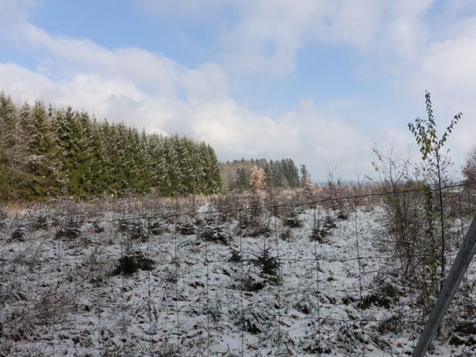 Gut erreichbares Ackergrundstück in attraktiver Lage – ca. 6.600 m² in Schnaitsee – Foto 1