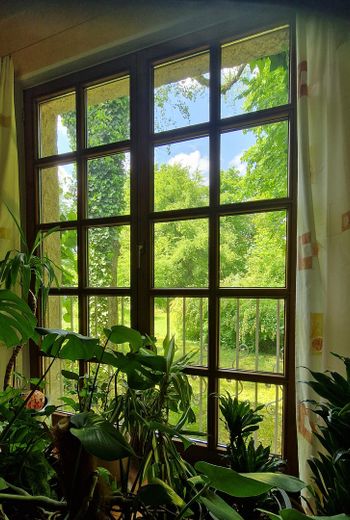 Blick aus dem Wohnzimmer