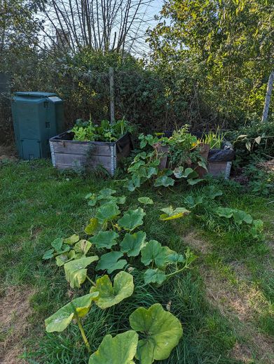 RESERVIERT: Schönes Holzhaus auf großem Grundstück für Naturliebhaber und Individualisten – Foto 11