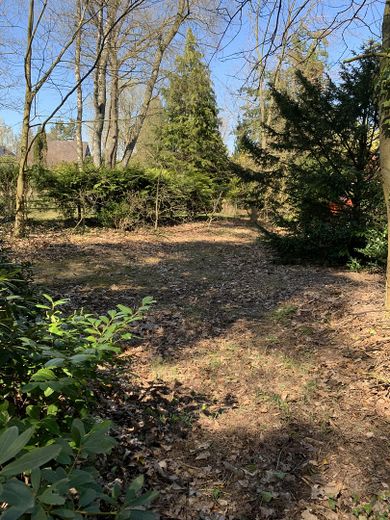 Aantrekkelijk bouwperceel op gewilde locatie in Buchholz-Steinbeck – 794 m² – Foto 1