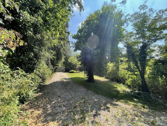 Paradies in Alleinlage – Blick zur Einfahrt