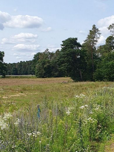 Sunny plot in a sought-after edge-of-village location – 525 m² with south-facing orientation and unobstructed view of greenery – Blickrichtung Süd Westen