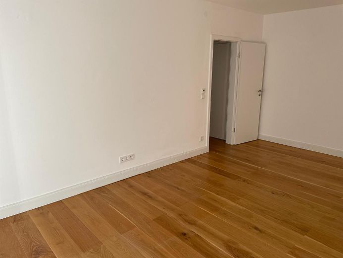 ZIMMER 1