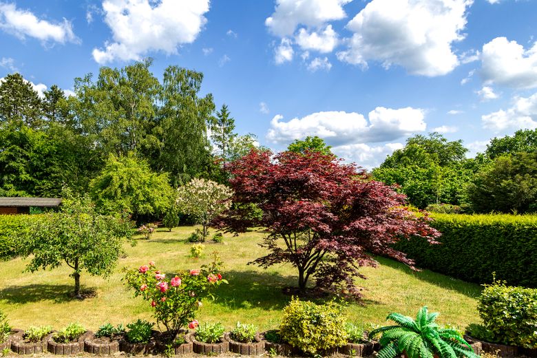Blick in den Garten
