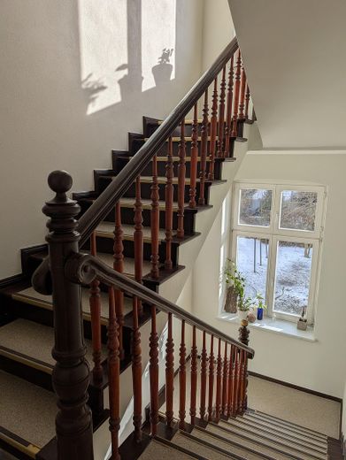 Stilvoll renovierter Altbau - Einzigartige 4-Raumwohnung bezugsfertig in der Greifswalder Innenstadt – Blick in Gemeinschaftsgarten