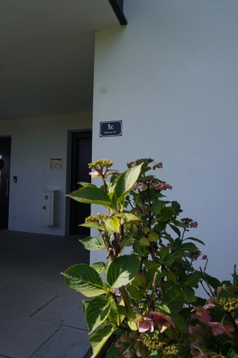 Ampio appartamento di 2 locali con terrazza – Foto 3