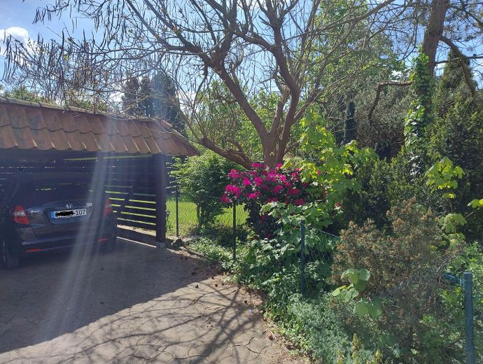 Garten-Ansicht1