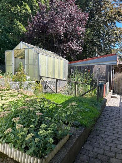 Gewächshaus und Garten