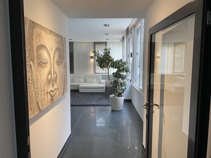 Esclusivo appartamento di 6 locali, 304 mq/KB/Garage/Terrazza/Giardino – Wohnzimmer