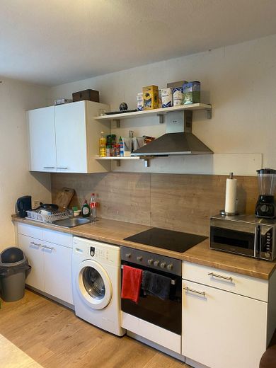 1,5 Zimmer Wohnung, perfekter Schnitt, City / Uni / Zoo/ Park, mit Küche – Küche