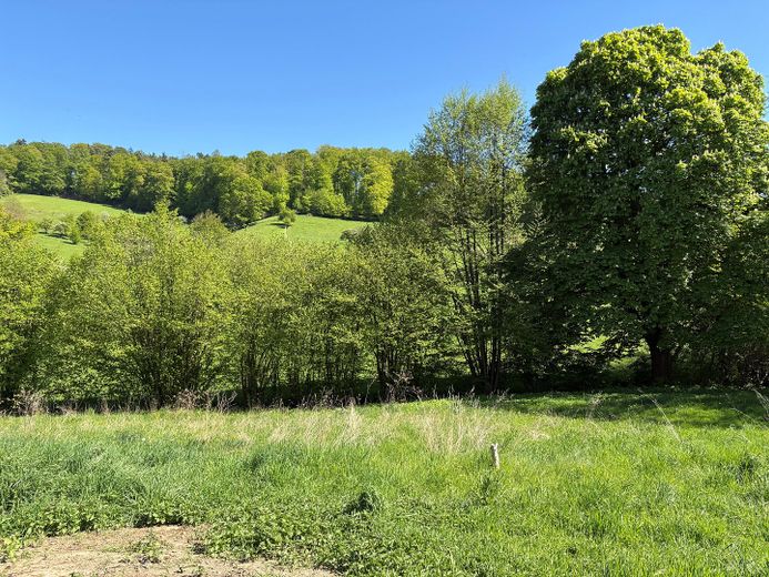 großzügiges Grundstück mit einzigartigem Blick – Foto 1