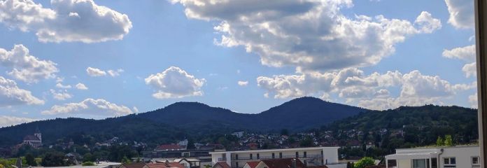 Balkonlu ve Kara Orman'a panoramik manzaralı geniş 4 odalı daire – Ausblick