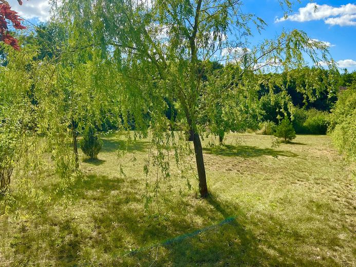 traumhaftes Bauland am Naturschutzgebiet – Foto 3