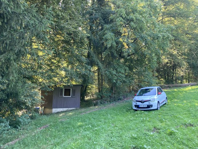 Wochenendgrundstück – Häusle mit Waldbestand