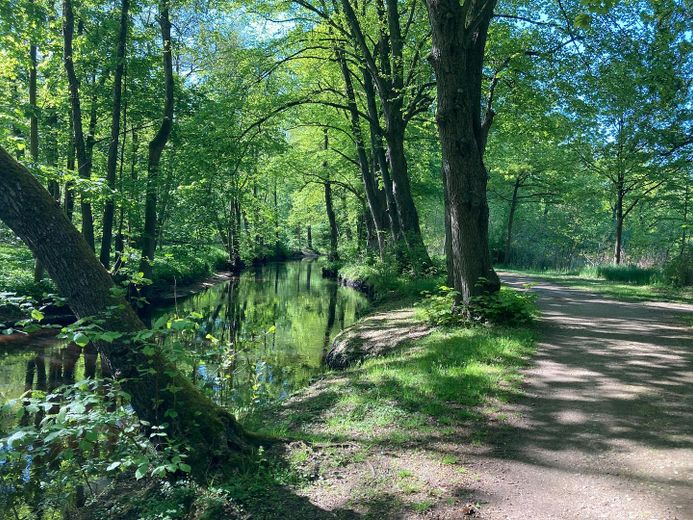 5 Gehminuten zur Osterau/Natur