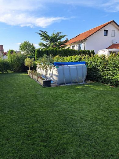 Option Pool statt Loungemöbel