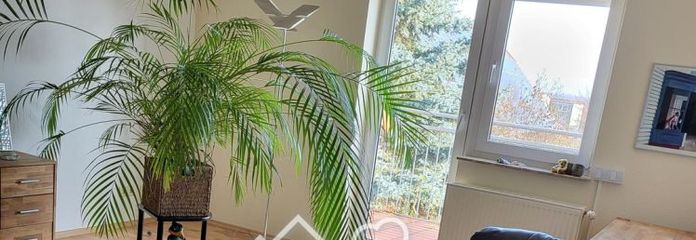 Wohnung zu Vermieten SZ-Thiede