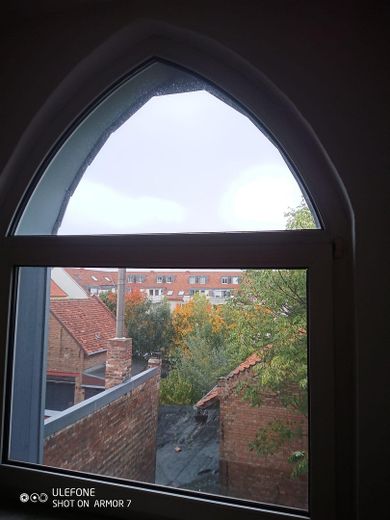 Blick in den grünen Garten