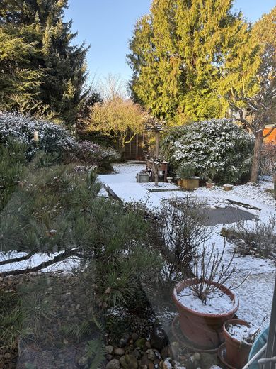 Garten im Winter