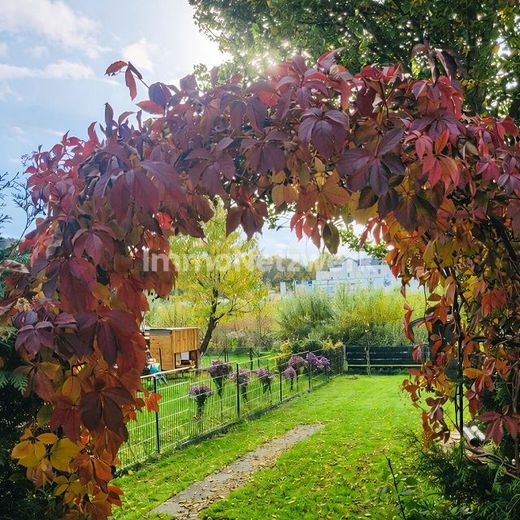 ***Willkommen in Ihrem neuen Zuhause - Familienidylle in Top-Lage von Wunsiedel*** – Gartenansicht