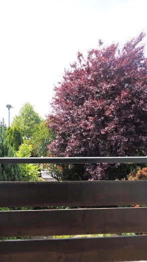 Blick vom Balkon