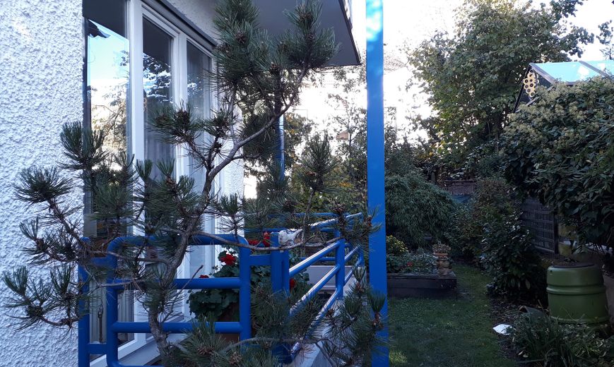 Bel appartement de 2 pièces à Bad Honnef, Rhöndorf, 68 m² – kleiner Hausgarten